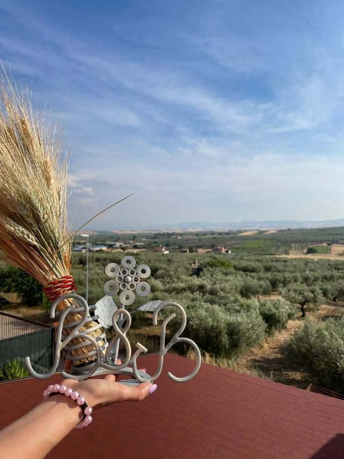 B&B Il Panorama Torre Maggiore 外观 照片